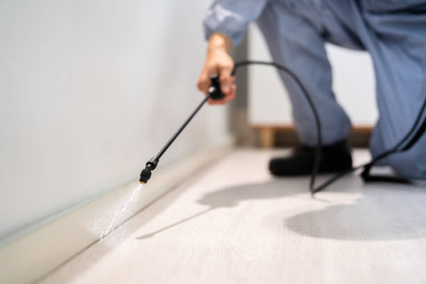 Professional exterminator conducting IPM assessment in Cleveland